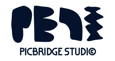 픽브릿지 스튜디오 : 재치있는 브랜딩 디자인의 모든것