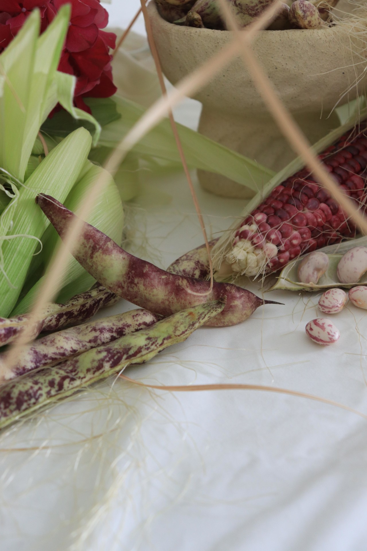 <p style="text-align:left; font-size:16px; margin-top:26px;">Private Lesson<br><span style="color:#666;"></span></p>