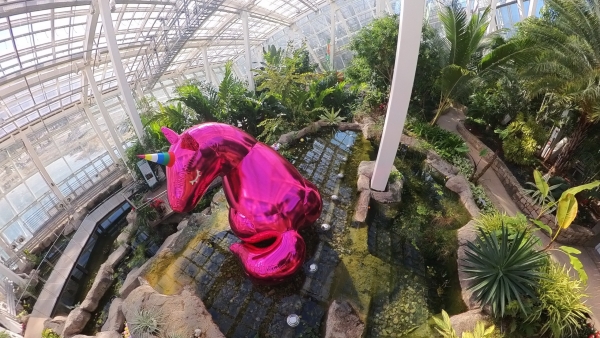 Yeongheung Arboretum