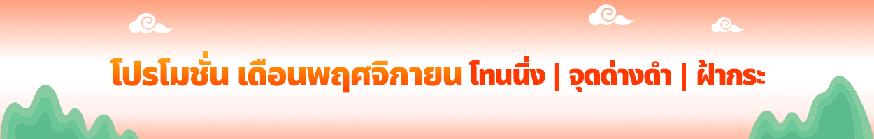 ยังไม่รวม VAT