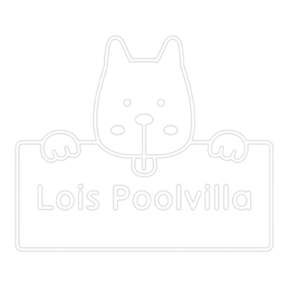 로이스 애견 풀빌라