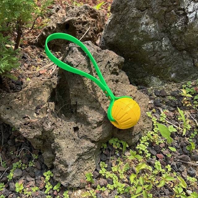 BioThane® Tug Loop Handle : Rapport K9