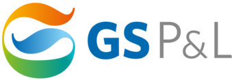GS P&L