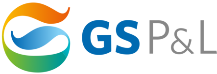 GS P&L