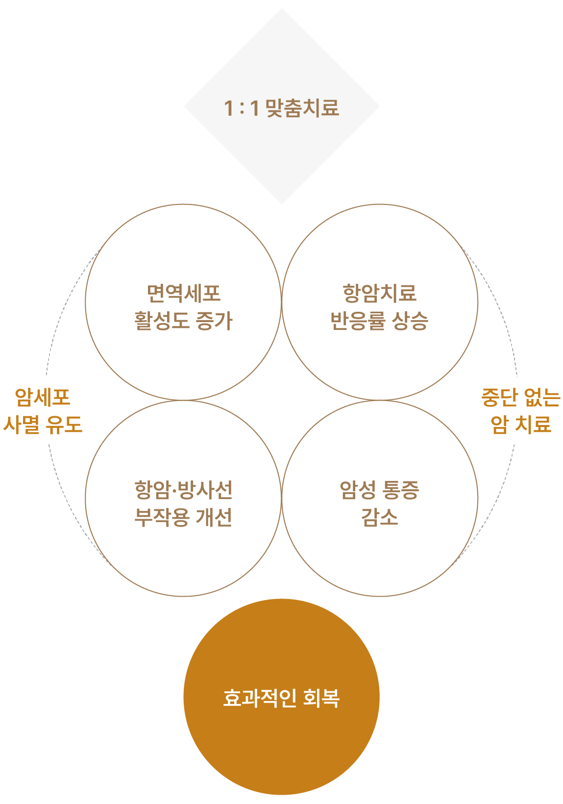 암 사멸 유도 및 중단 없는 암 치료