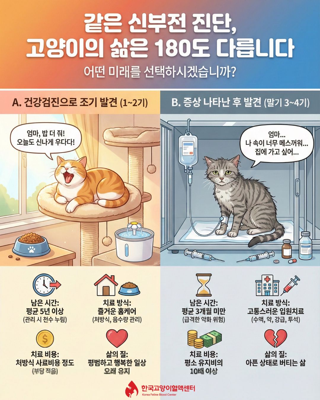 건강할 때 하는 건강검진이 내 고양이의 삶의 질을 지켜줄 수 있습니다