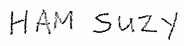 Suzy Ham