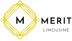 메리트리무진 vip의전서비스