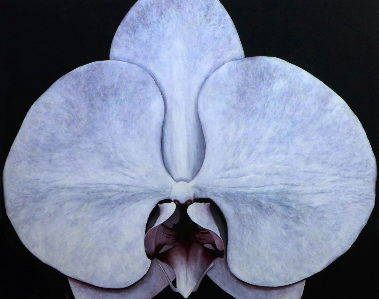 윤미선 Yoon Miseon