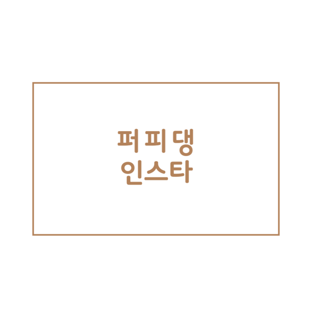 퍼피댕인스타
