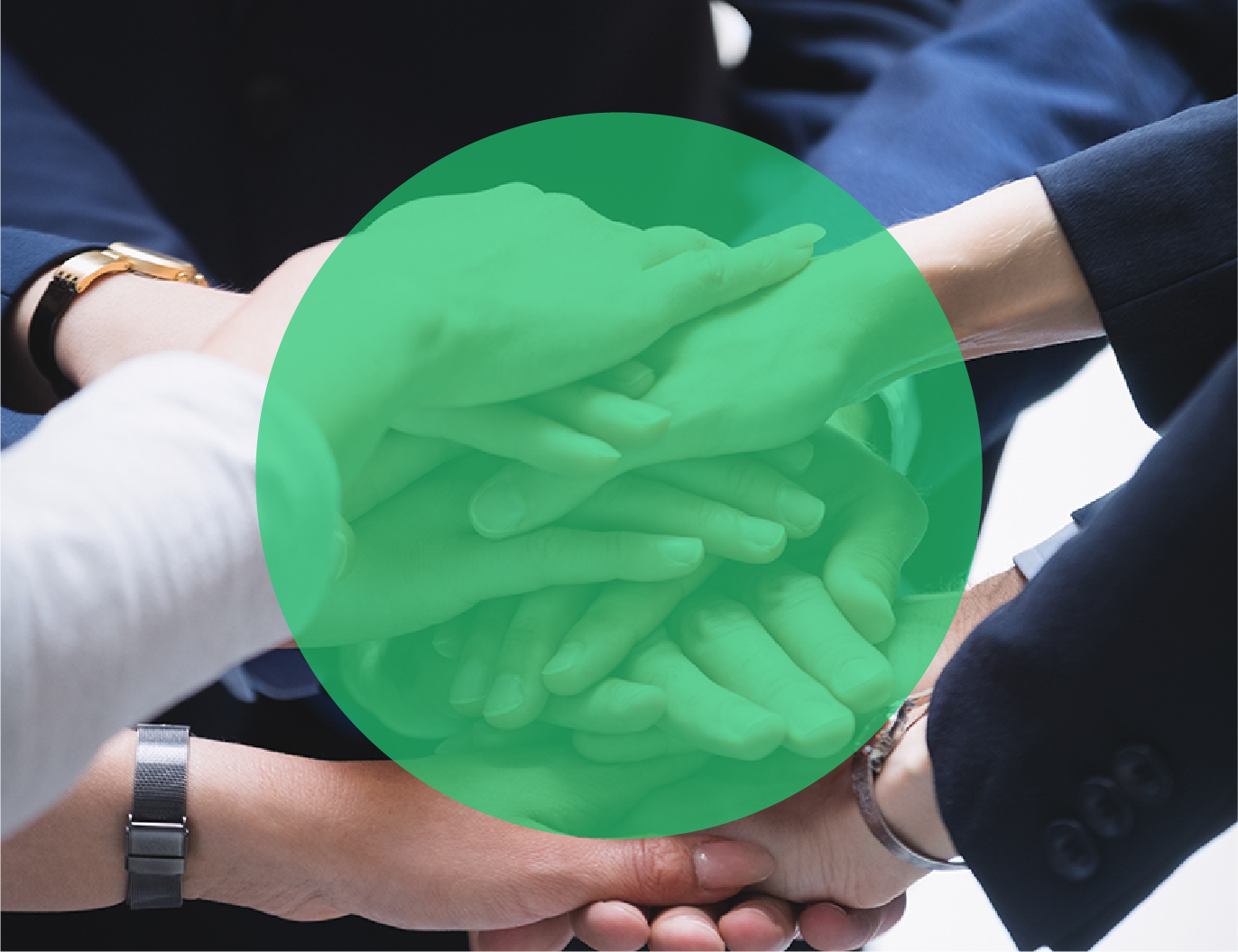<strong>강점 기반<br>팀빌딩</strong>
