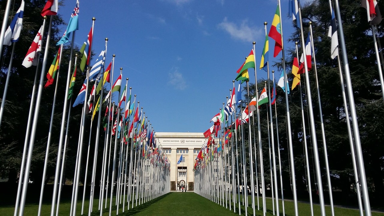 <br><h4>GMWHO<br>Geneva<br>Oct 28-31, 2025</h4>