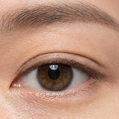 인아웃라인<br>In-Outline