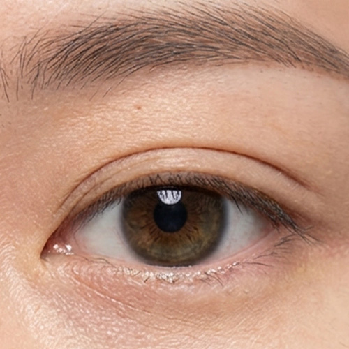 아웃라인<br>Outline