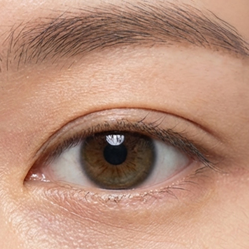 세미아웃라인<br>Semi-Outline