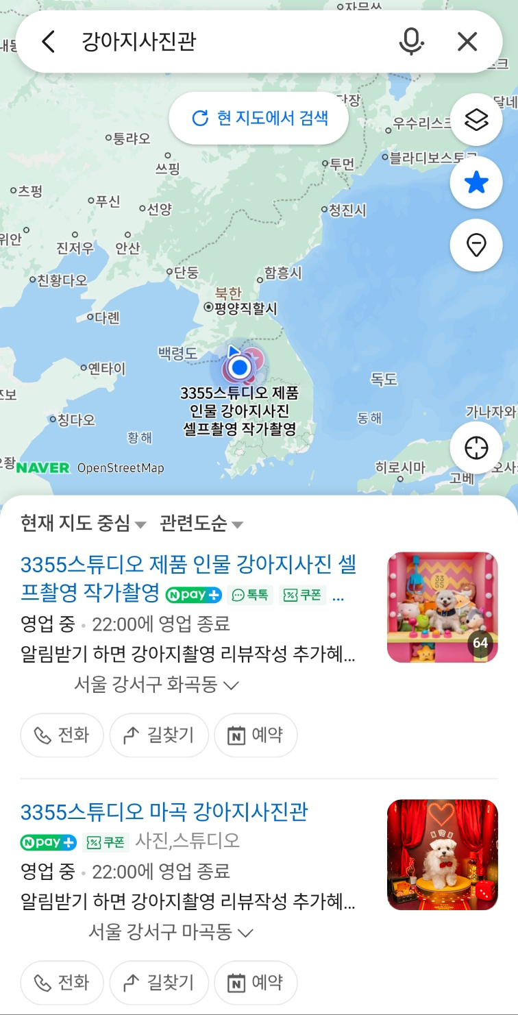 3355스튜디오 강아지사진관 네이버지도 검색결과 최상위 추천