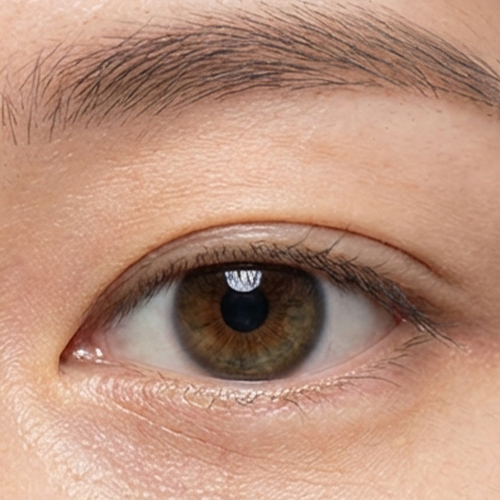 인라인 <br> Inline