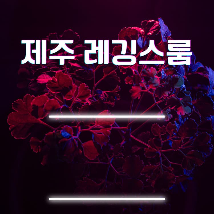 제주 연동 프리미엄 레깅스룸 인테리어 및 분위기 이미지