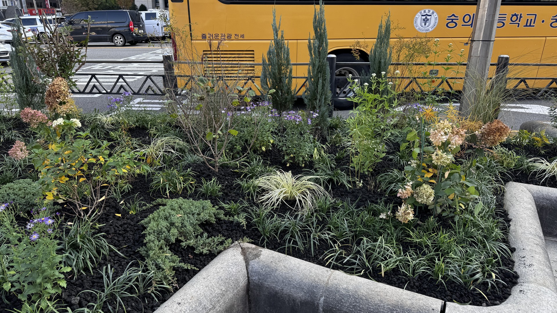 <p style="text-align: center; line-height: 1.15;"><span style="font-size: 20px; color: rgb(255, 255, 255);">[2024]</span></p>  <p style="line-height: 1.15; text-align: center;"><span style="color: #FFF;"><span style="font-size: 60px;">신세계백화점 앞 매력정원 조성</span></span></p>