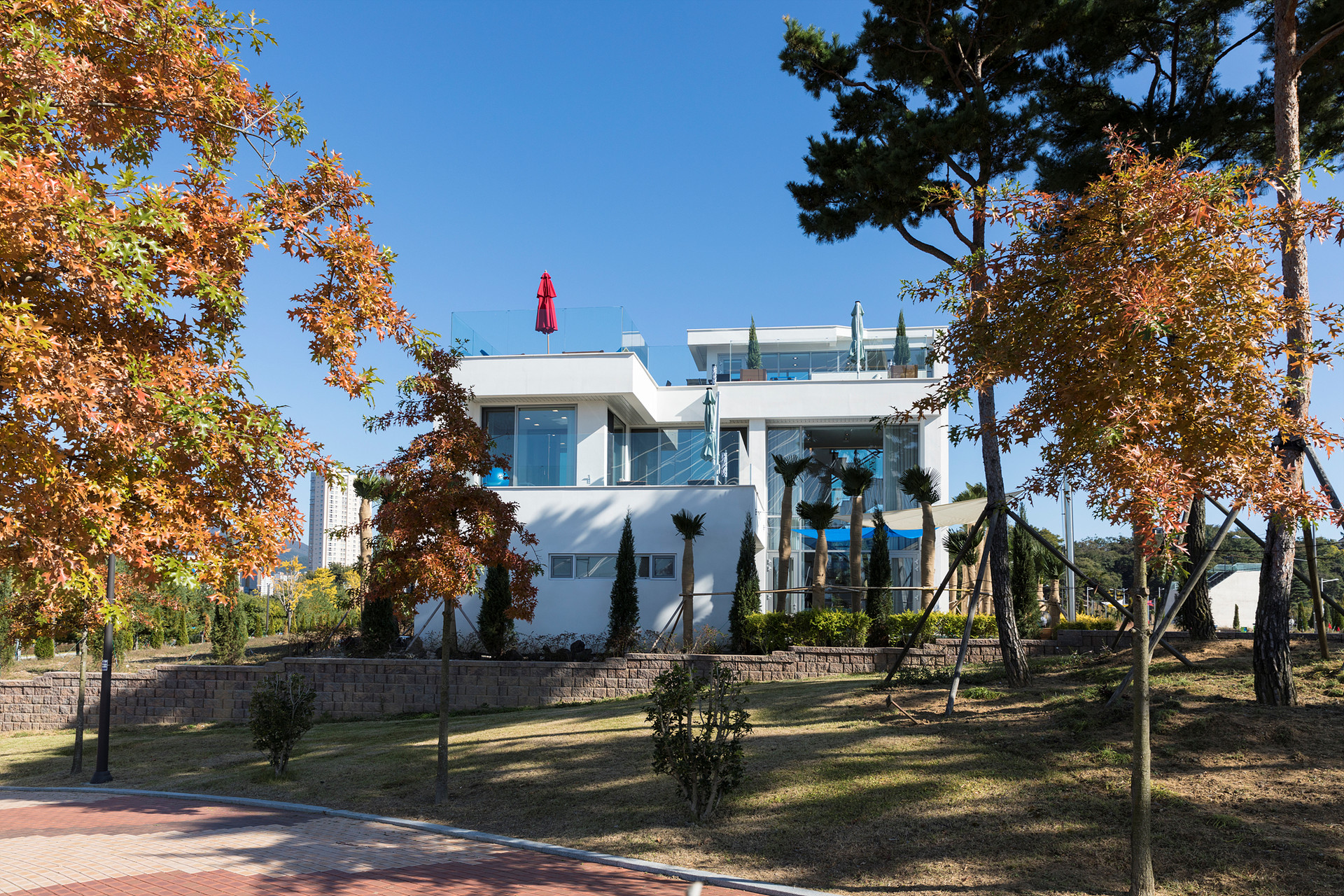 이미지1