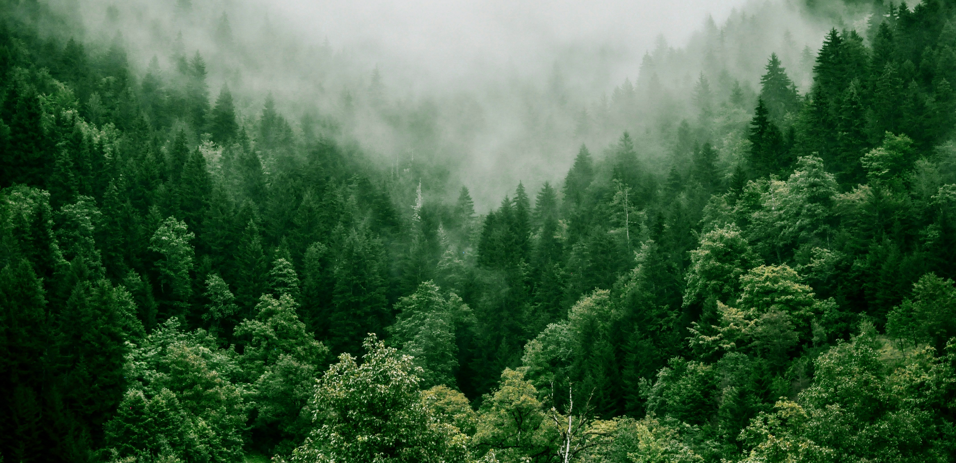 mobile background