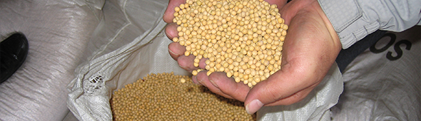 <h5 style="text-align: center;"><span style="color: rgb(255, 255, 255);"><strong>대북사업 &nbsp;&rarr;</strong></span></h5>