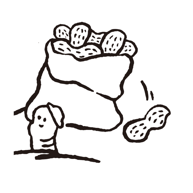 땅콩