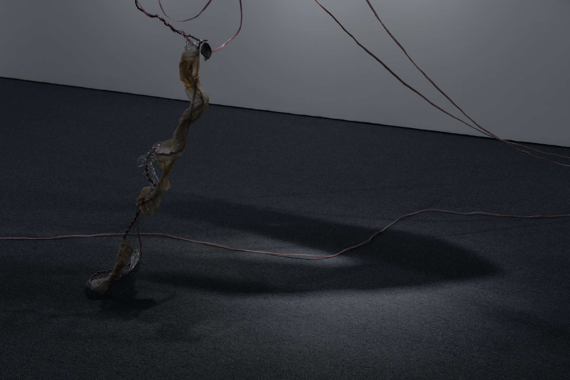 서민우, 〈BODY〉, 2025, 철, 오디오 케이블, 납, 라텍스, 스테인리스, 스피커, 120x50x38cm, 촬영: 스튜디오 아뉴스