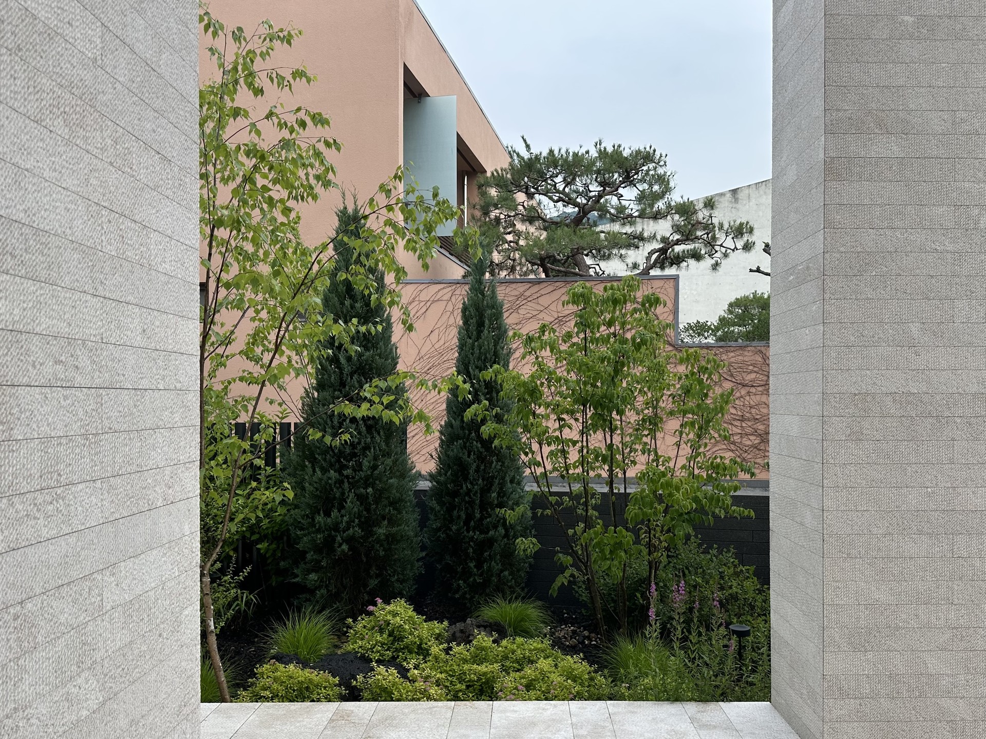 <p style="text-align: center; line-height: 1.15;"><span style="font-size: 20px; color: rgb(255, 255, 255);">[2022]</span></p>  <p style="line-height: 1.15; text-align: center;"><span style="color: #fff;"><span style="font-size: 60px;">분당동 개인주택 정원</span></span></p> 