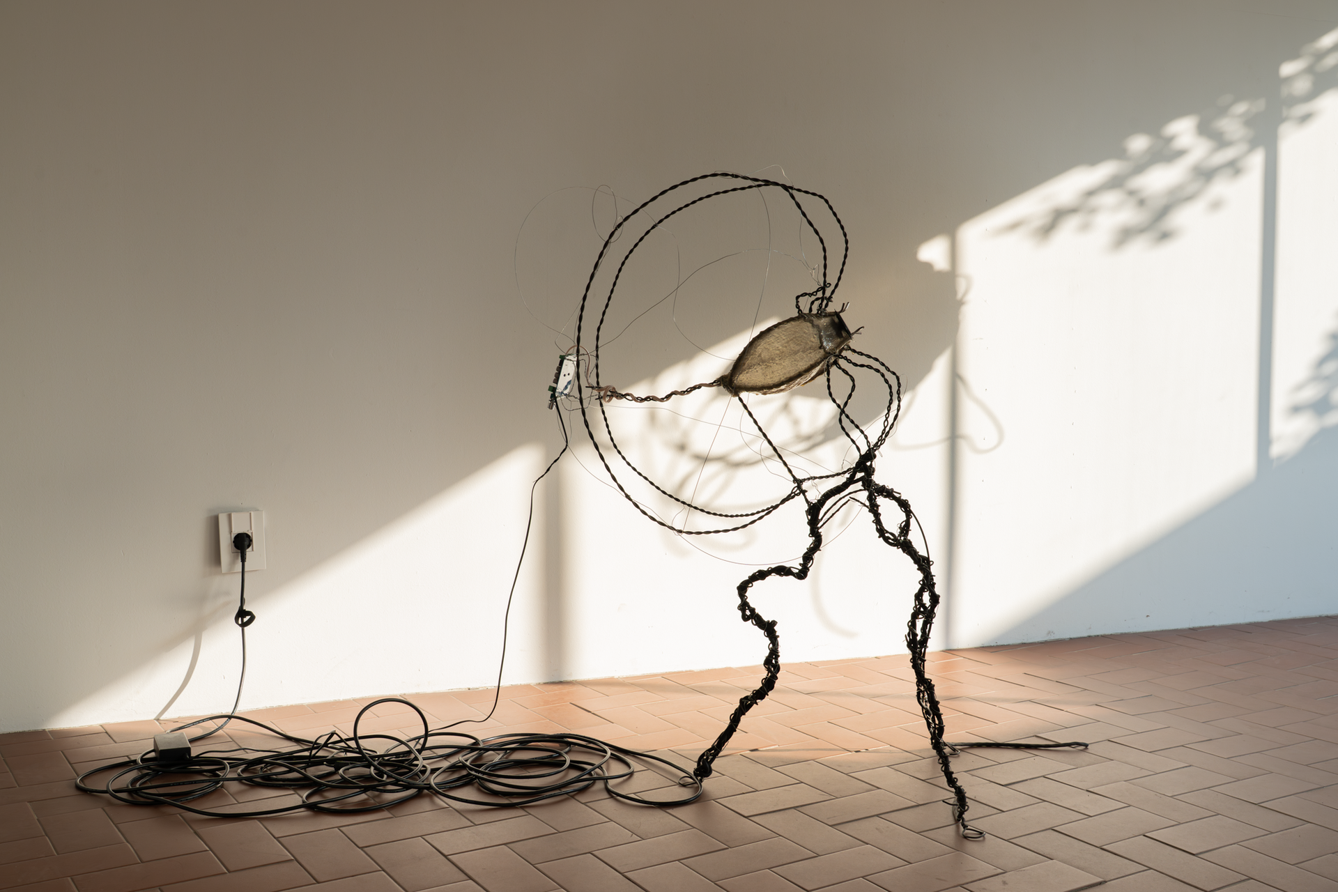 서민우, 〈howled gyre〉, 2025, 철, 나무, 스테인리스 스틸, 라텍스, 오디오 케이블, 스피커, 앰프, 음원: 〈허물과 궤적: 나선형 수평계〉 수록: 폐쇄형 정원, 정수리부터 한 뼘 만큼의 원형, walk for walk, 121 x 71 x 40 cm, 7분 30초. 촬영: 스튜디오 아뉴스