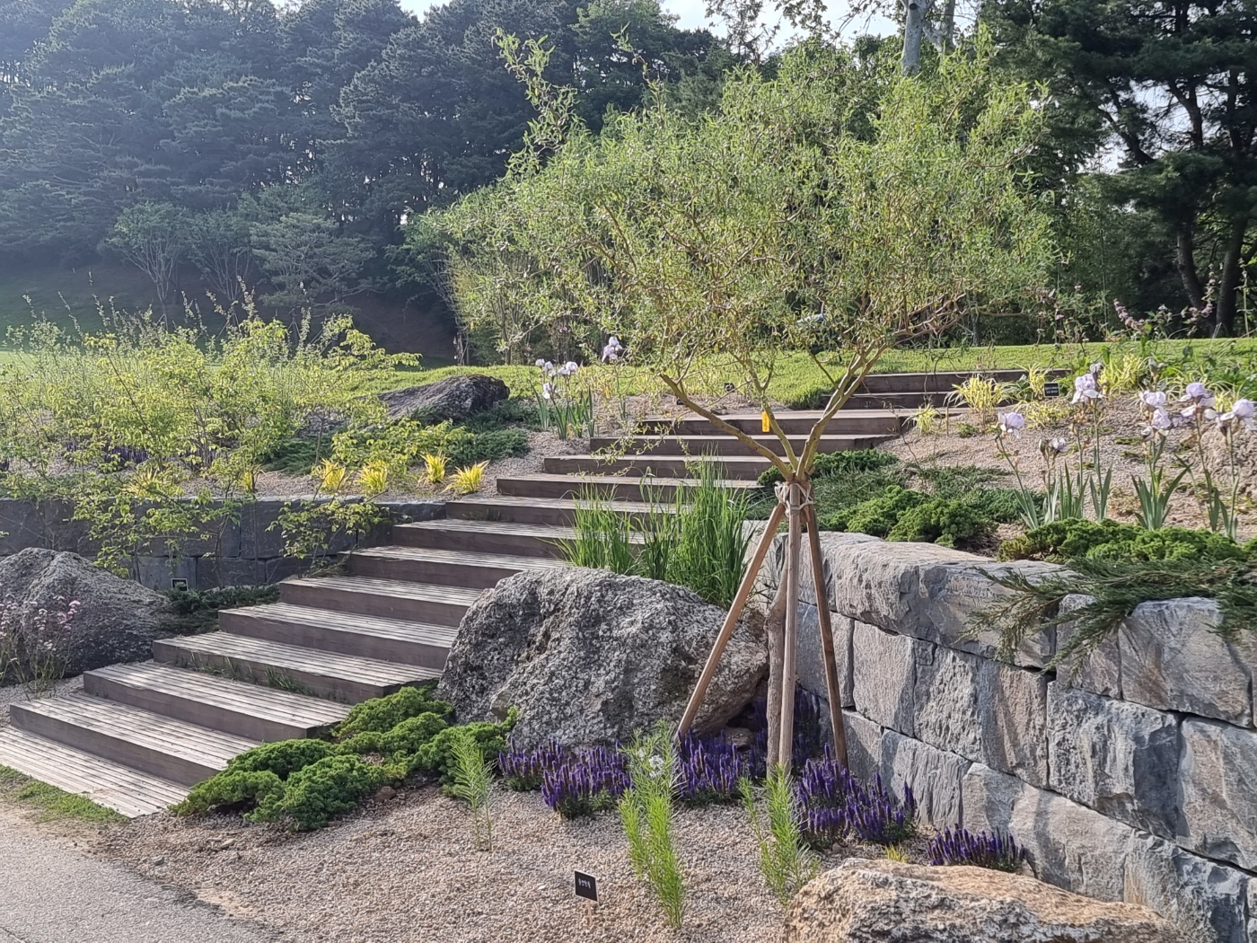 <p style="text-align: center; line-height: 1.15;"><span style="font-size: 20px; color: rgb(255, 255, 255);">[2023 - 2024]</span></p>  <p style="line-height: 1.15; text-align: center;"><span style="color: rgb(255,255,255);"><span style="font-size: 60px;">남서울 C.C 13홀 경관개선 사업</span></span></p>  <p style="line-height: 1.15; text-align: center;"><span style="font-size: 30px; color: rgb(255,255,255);"></span></p>