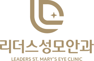 리더스성모안과