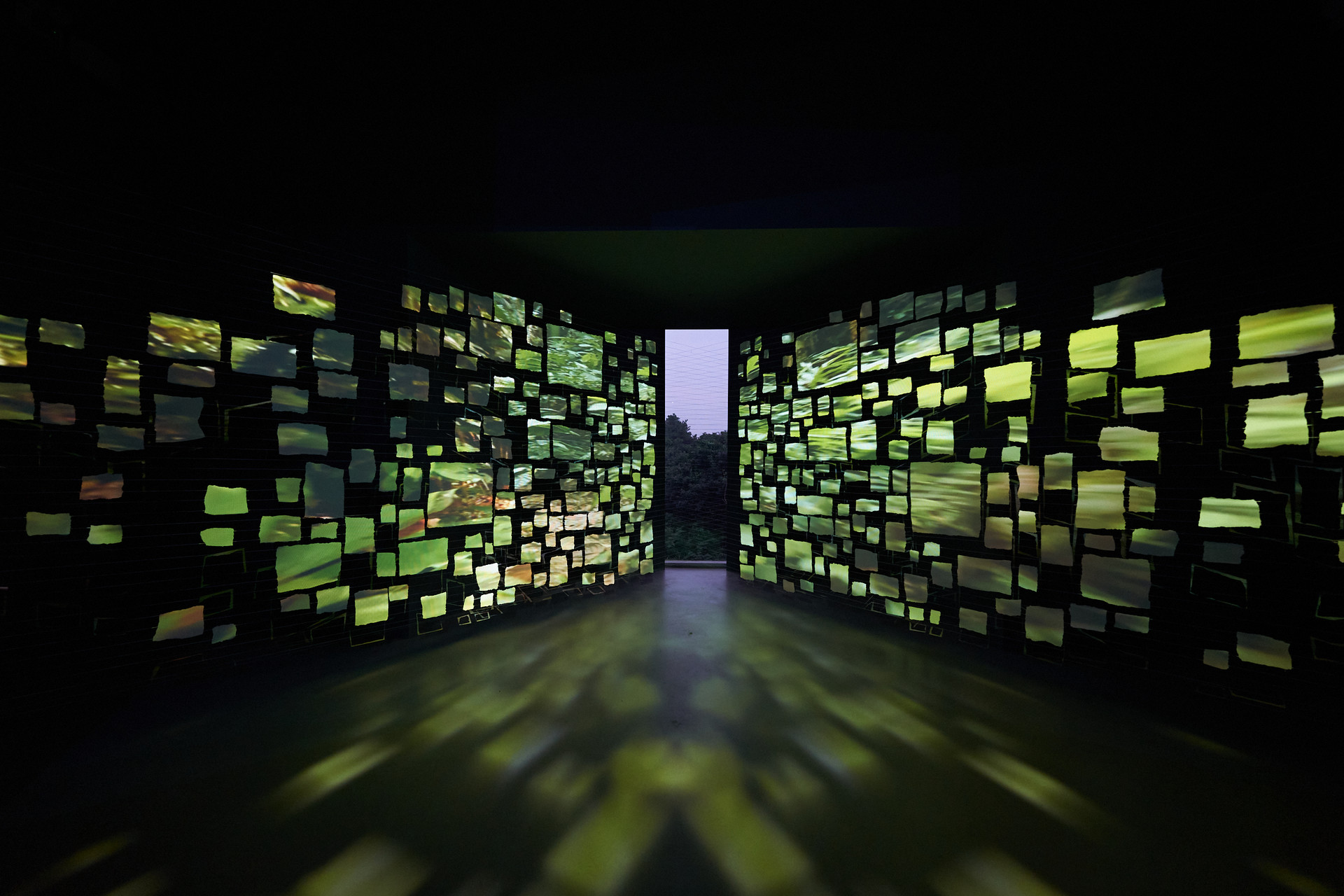 이미지: 포도 뮤지엄