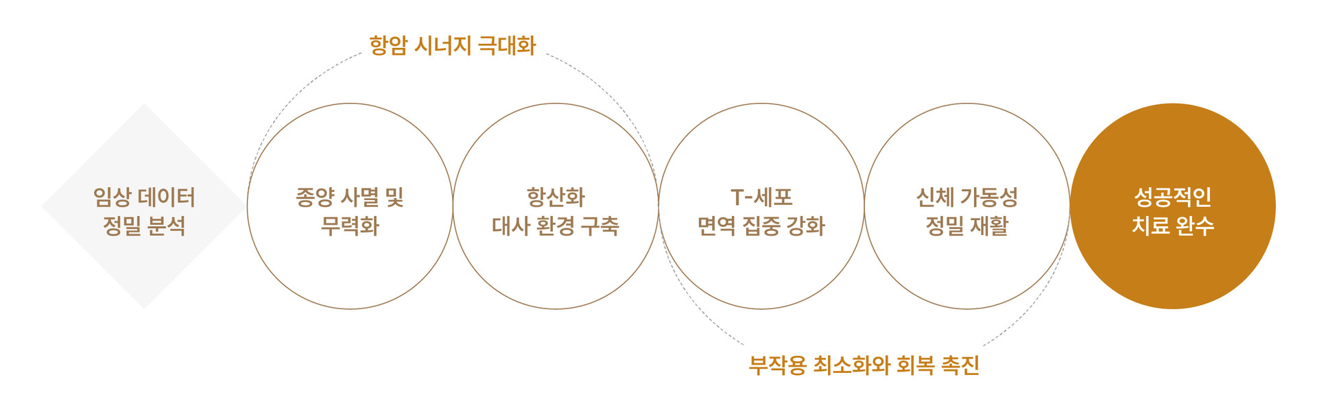 항암시너지의 극대화와 부작용 최소화