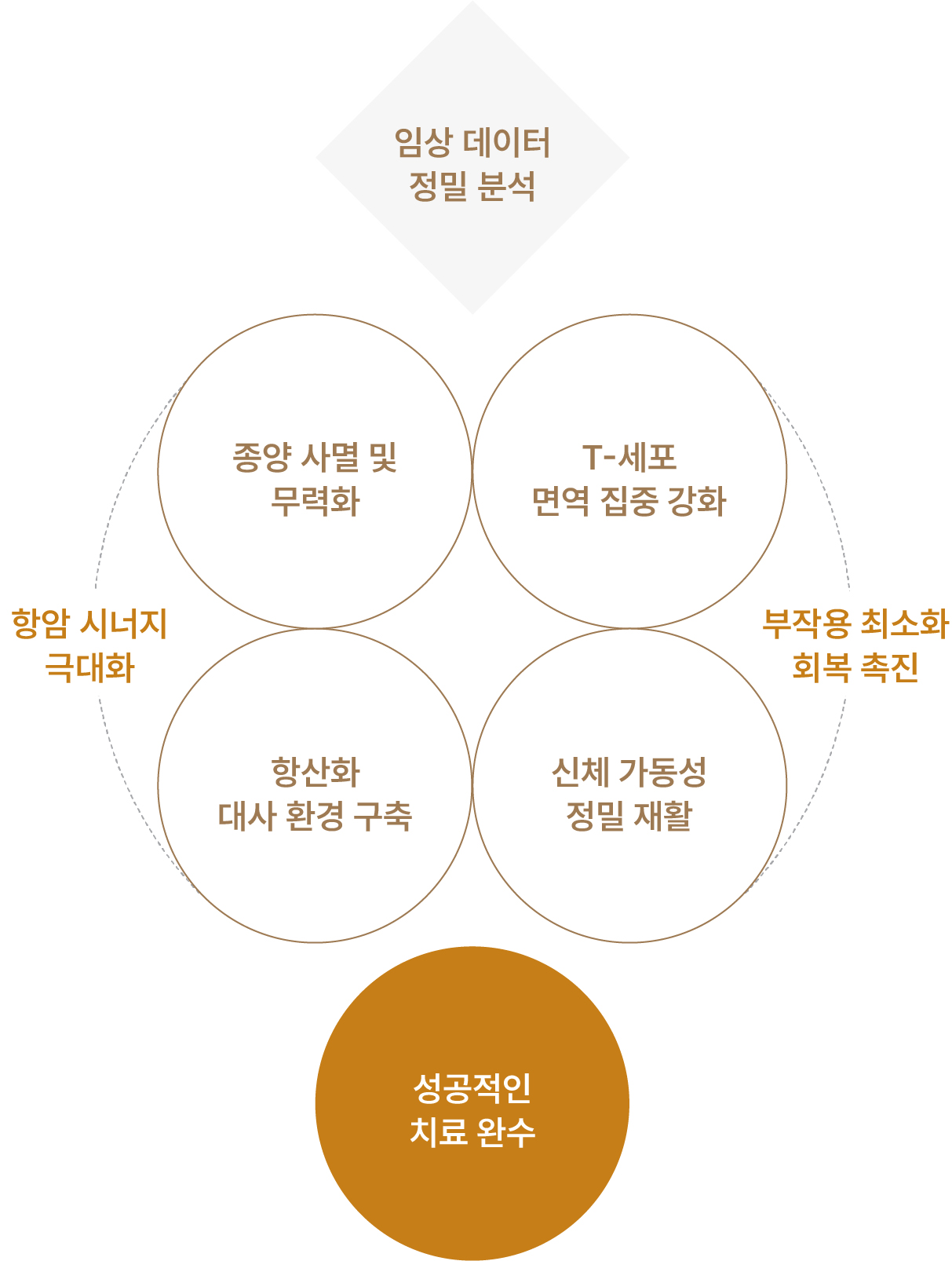 항암시너지의 극대화와 부작용 최소화