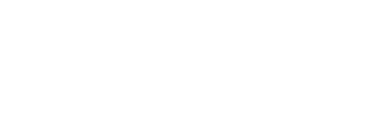 AIRONE STORE