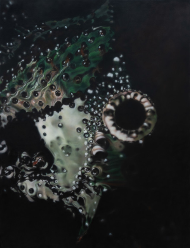 Shield made of scales, 2025