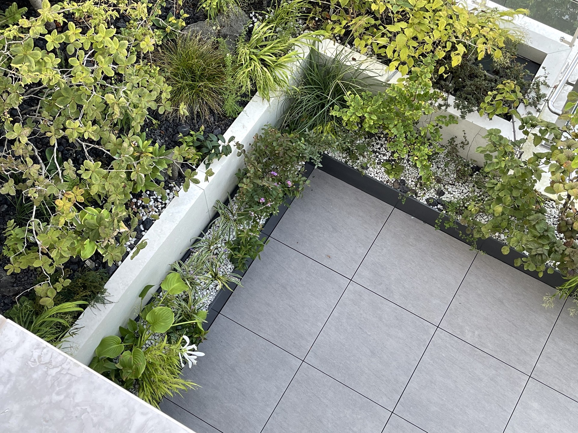 <p style="text-align: center; line-height: 1.15;"><span style="font-size: 20px; color: rgb(255, 255, 255);">[2022]</span></p>  <p style="line-height: 1.15; text-align: center;"><span style="color: #fff;"><span style="font-size: 60px;">청담동 효성빌라 테라스 정원</span></span></p> 