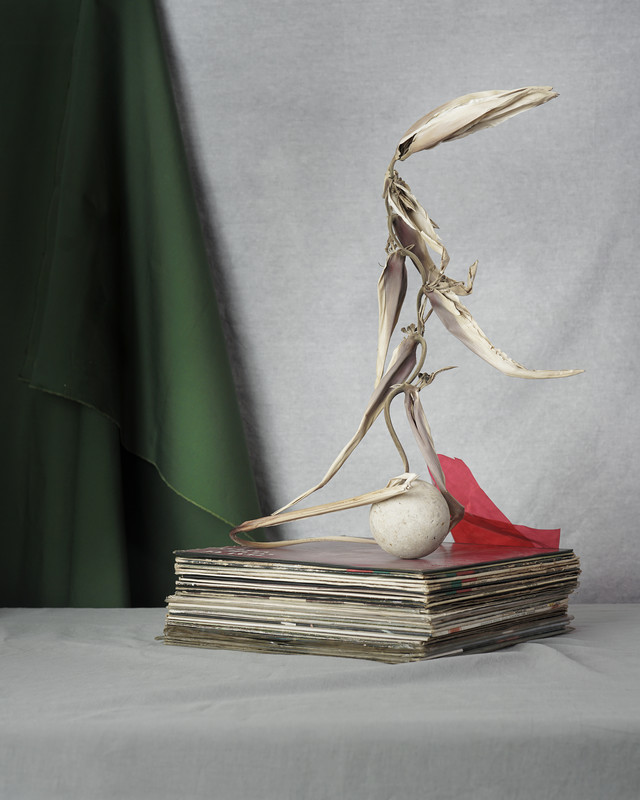 무대 위 레코드판, 극락조, 공, 2021