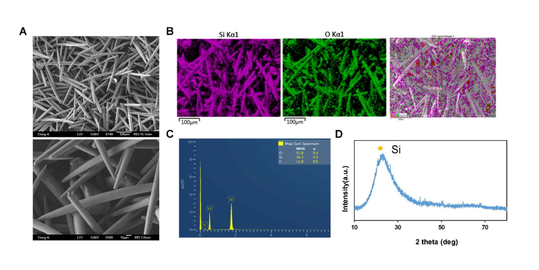 Spicule Analysis