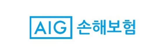 AIG 손해보험