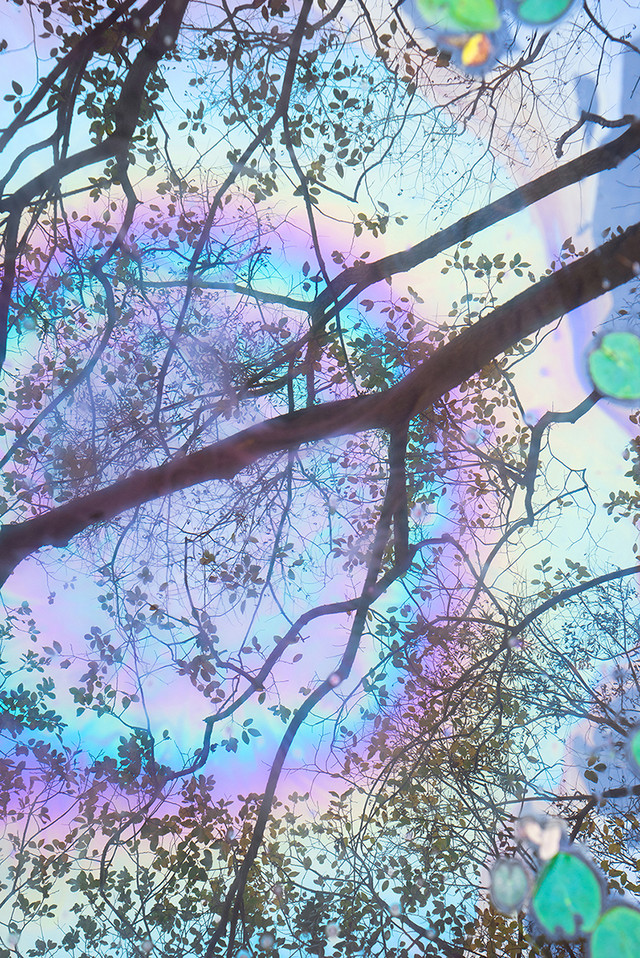 Overlay-12, Flurry Ⅱ, 2020