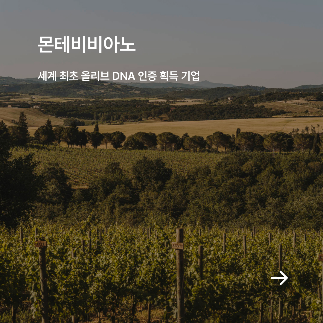 몬테비비아노