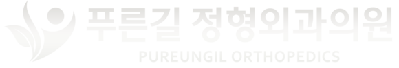 푸른길정형외과의원