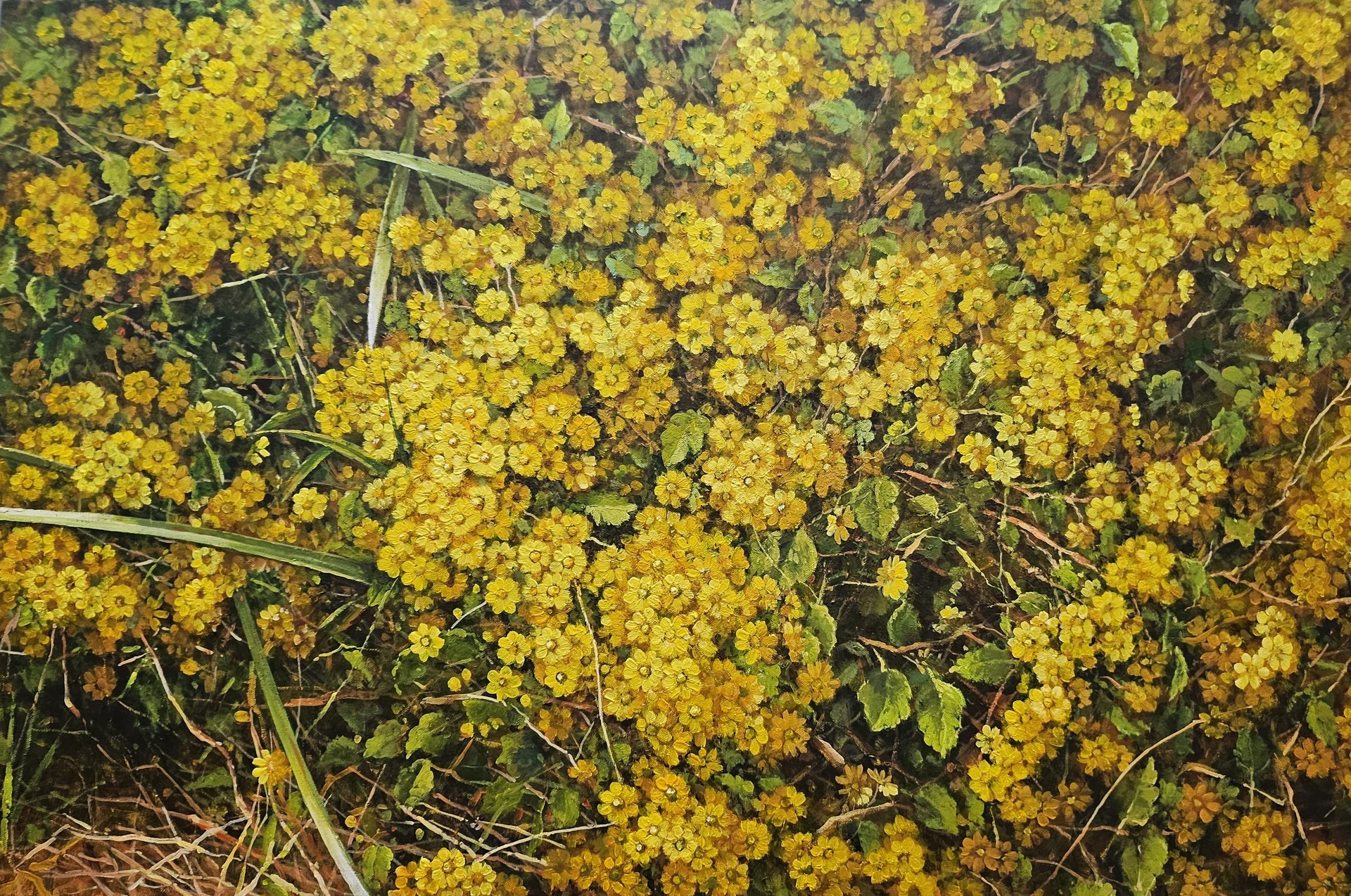 이미지를 클릭하시면 박계희 작가의 작품이미지를 보실수 있습니다