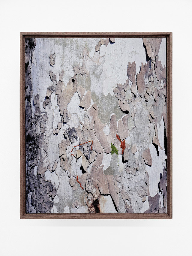 지극히 주관적인 (  ), 2024