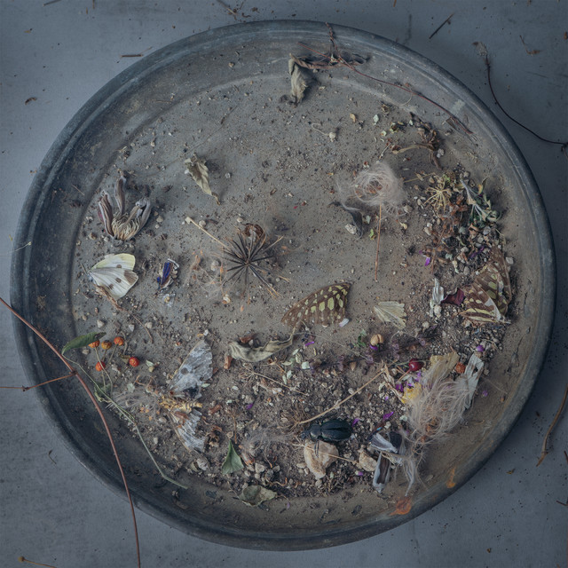 사라지지 않고 무언가의 일부가 된다_계절의 잔재, 2023