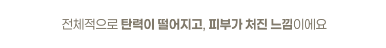  전체적으로 탄력이 떨어지고, 피부가 처진 느낌이에요
