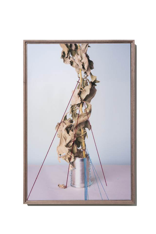 지극히 주관적인 (  ), 2025