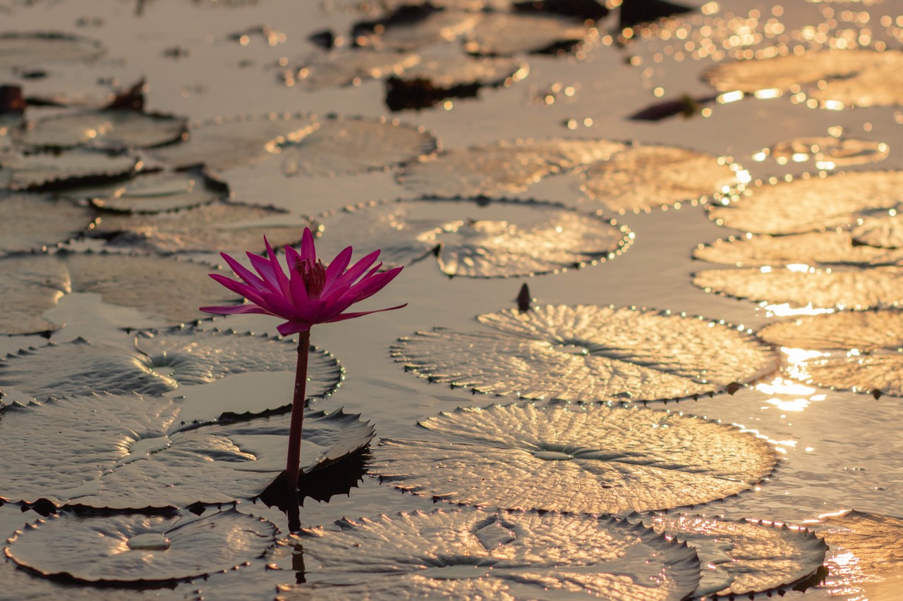 <p style="text-align:middle; font-size:16px; margin-top:26px;">깨달음을 향한 세 가지 기둥<br><span style="color:#666;">다시, 계율을 말하다</span></p>